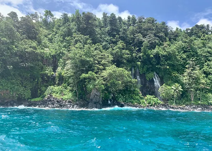 Taveuni Palms Resort