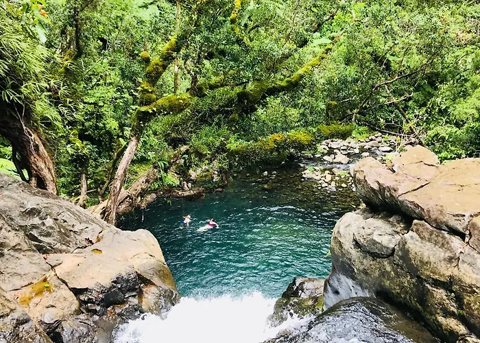 Taveuni Palms Resort