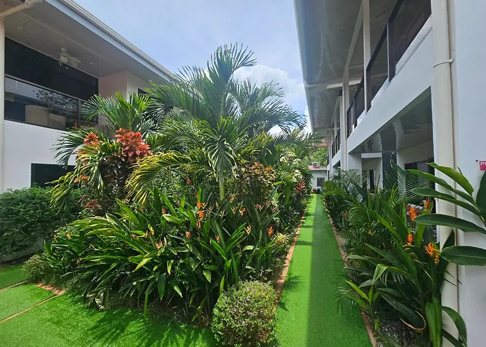 Ballena Rey Hotel