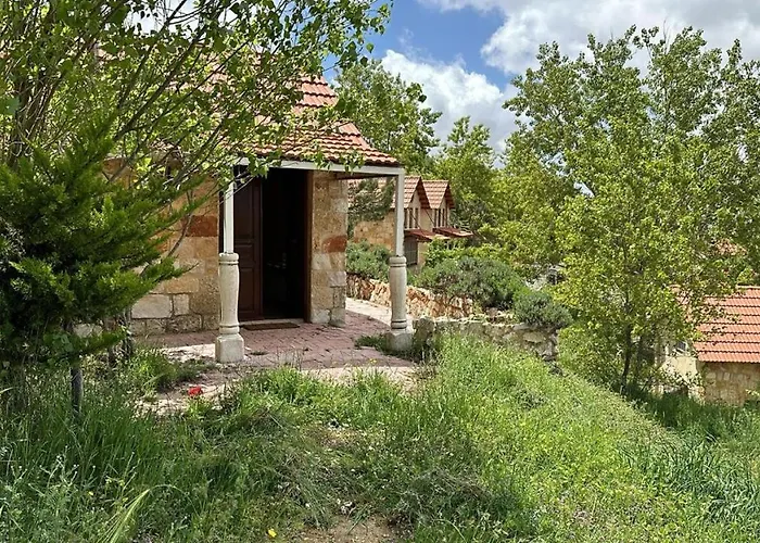 Soha Village Resort