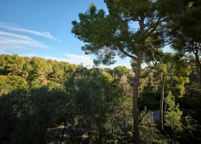 Sheraton Mallorca Arabella Golf Hotel
