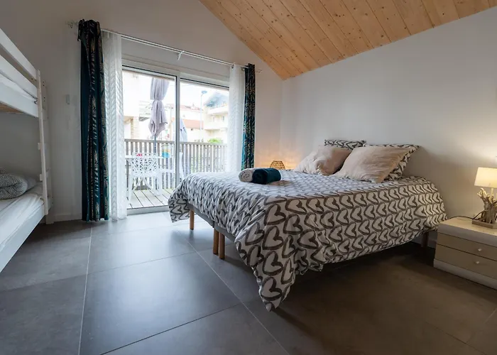 Ted Surf House