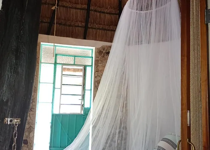 Hotel Y Museo Aldea Maya Toktli Origenes - Casa Maya Toh - Alberca, Wifi Starlink, Tour Museo