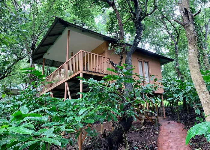 Thennal Jungle Camp