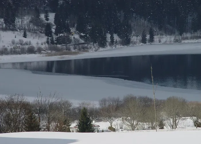 Hotel Restaurant Etoile Des Neiges Piscine Jacuzzi Sauna Massage Salle De Jeux