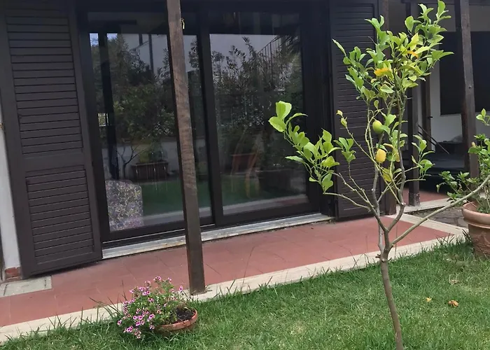 Il Pettirosso