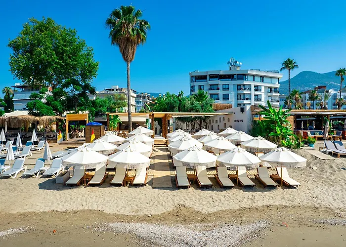 Demanor Hotel Adult Only