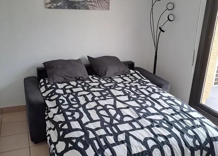 STUDIO CLIMATISE box 5 G Résidence Odalys Saint Loup, piscine ,parking privé et superette 25