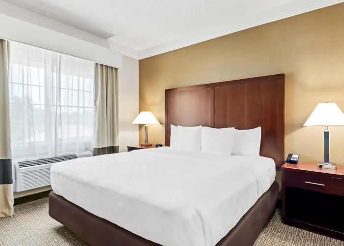 Comfort Suites Linn County Fairground And Expo