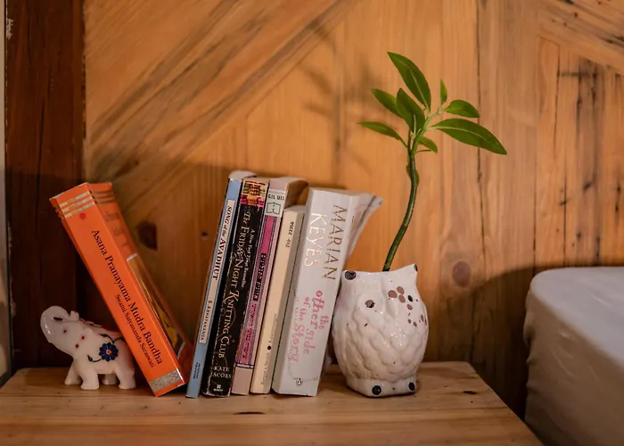 Aavya Creative Wellness Retreats