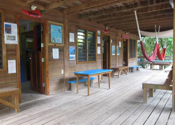 Hotel Chillies And Native Sons Diving