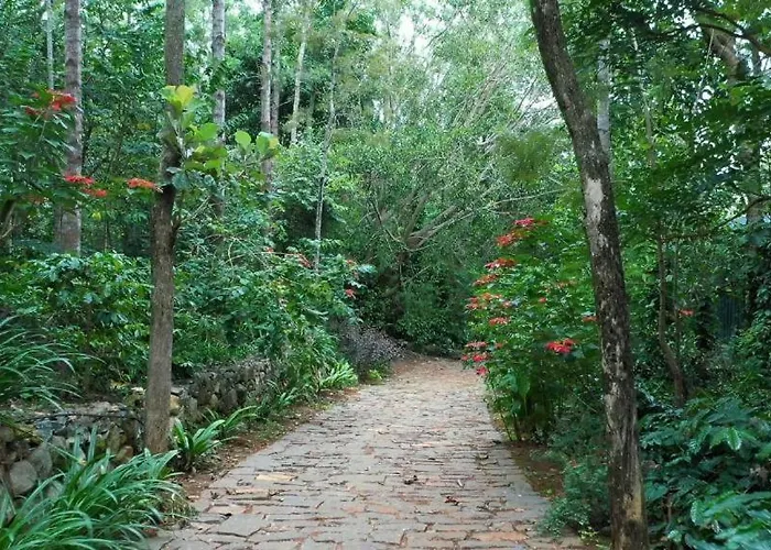Blue Valley Estate-12 Acre Forest-Silver Oak-Villa