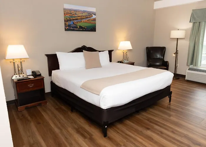 D. Hotel Suites & Spa