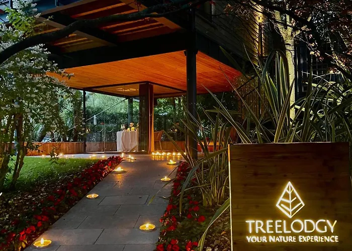 Treelodgy, The Tree House