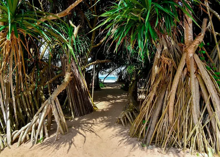 Vaaru Beach Villa