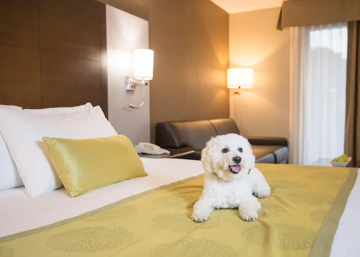 Best Western Plus Leamington Hotel & Conference Centre