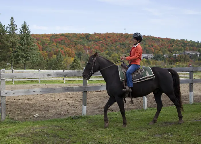 Deerhurst Resort