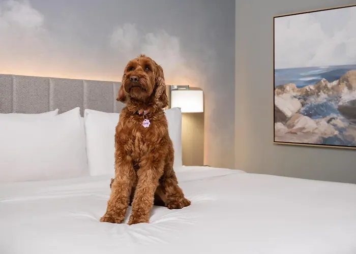 Hotel Indigo Long Island - East End By Ihg