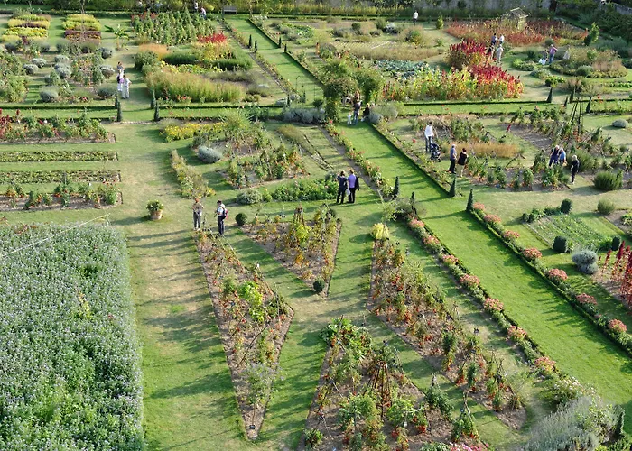 Château De La Bourdaisière