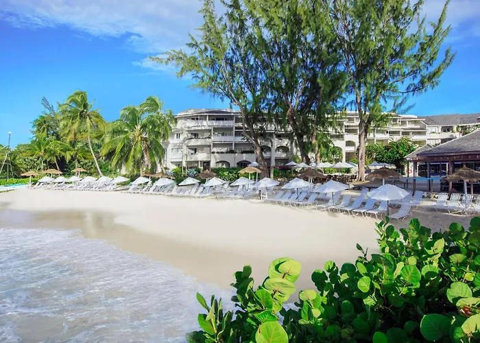 Bougainvillea Barbados