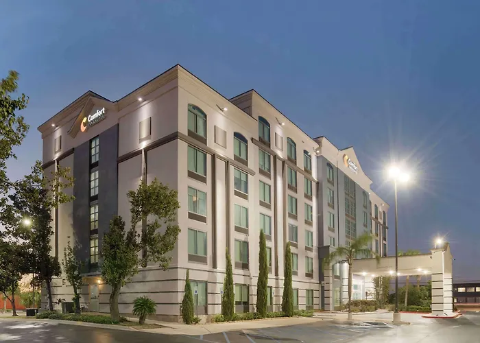 Comfort Inn & Suites New Orleans Airport North