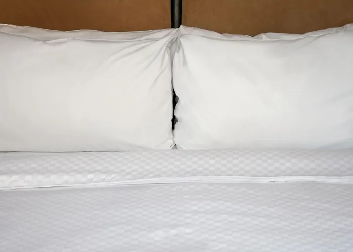 Four Points By Sheraton - San Francisco Airport