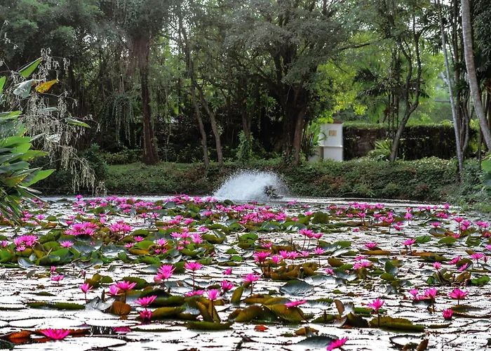 Marriott'S Phuket Beach Club