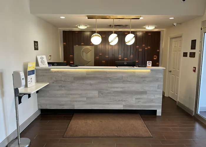 Comfort Suites Clearwater - Dunedin