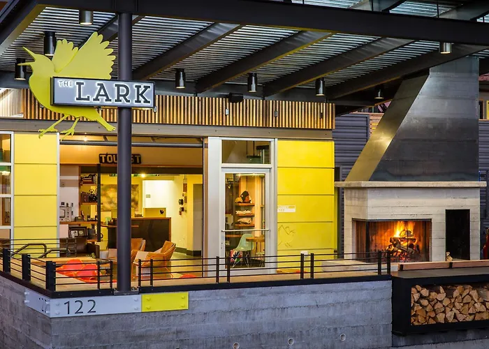 The Lark