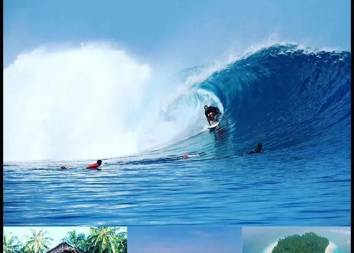 Playgrounds Sabbit Mentawai Surfcamp