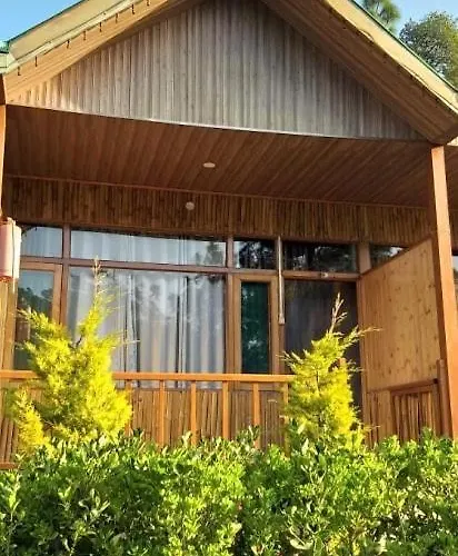 Paradise Village Resort