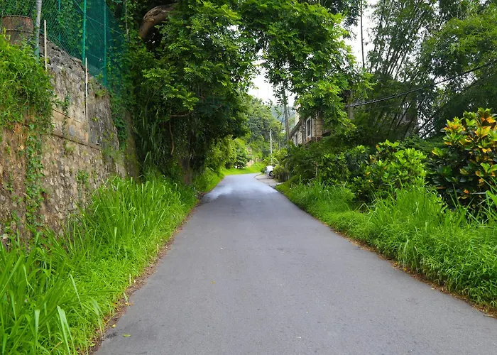 The Dorwin Heights