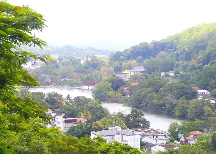 The Dorwin Heights