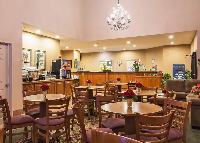 Comfort Inn & Suites Shelbyville