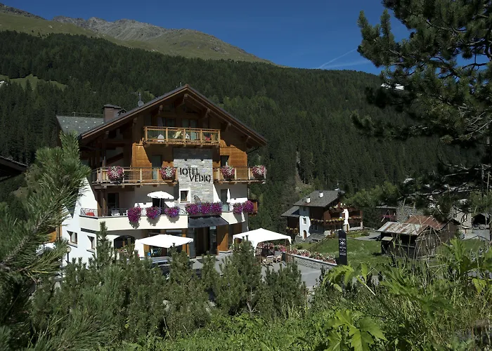 Hotel Vedig