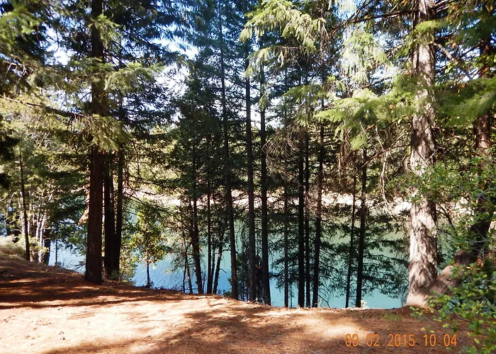Mount Shasta Resort