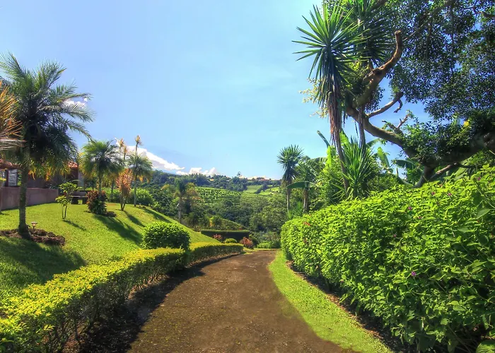 Hotel Mango Valley