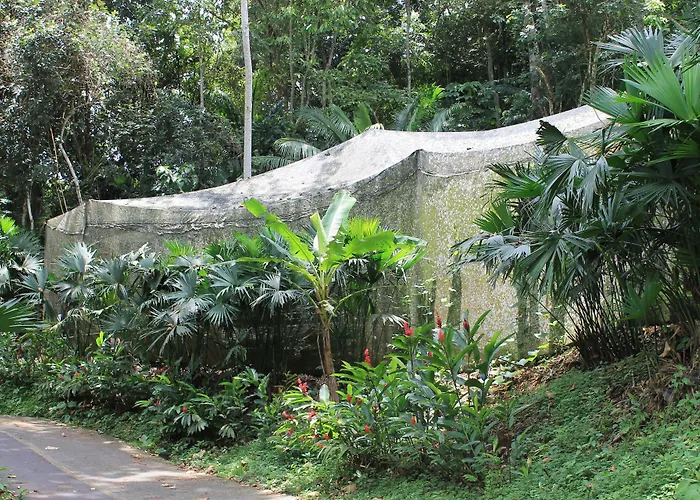 Summit Rainforest Golf Resort & All Inclusive