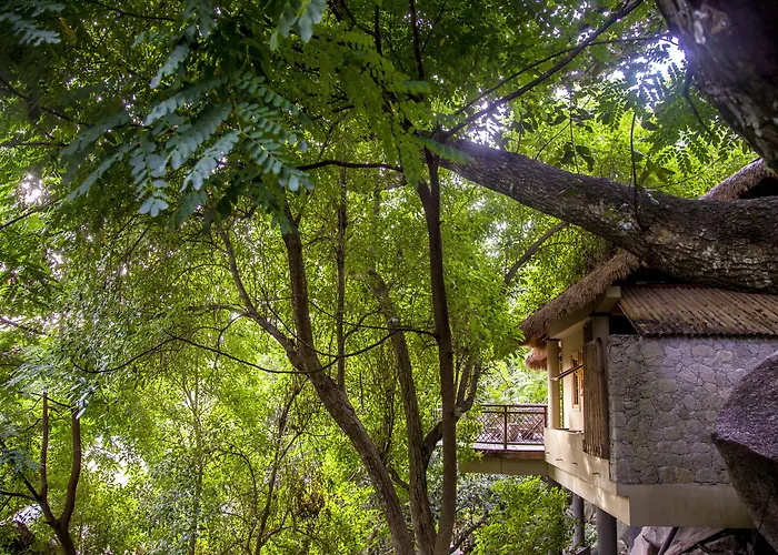 Le Domaine De L'Orangeraie Resort And Spa