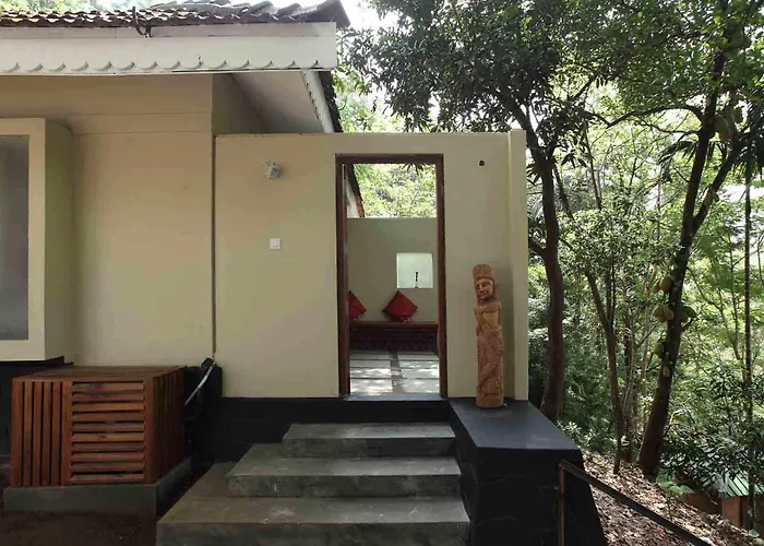 Rainforest Resort