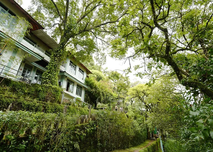 Blackberry Hills Munnar Nature Resort & Spa
