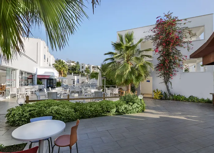Club Shark Hotel