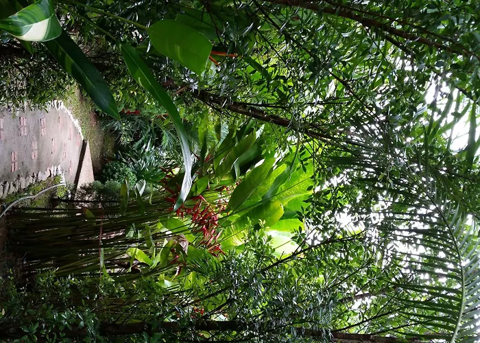 Hotel Khaosok And Spa