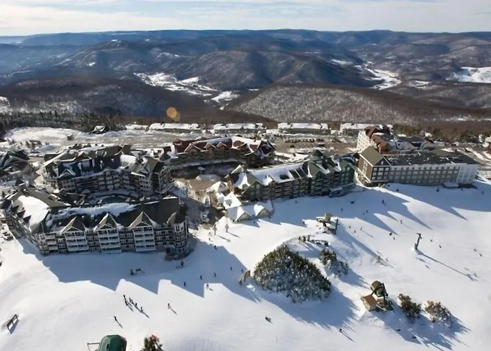 Allegheny Springs