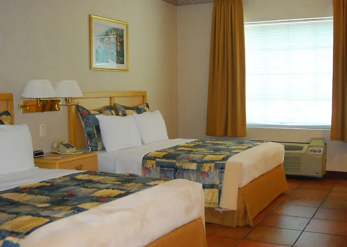 Rio Vista Inn Business High Class Tampico