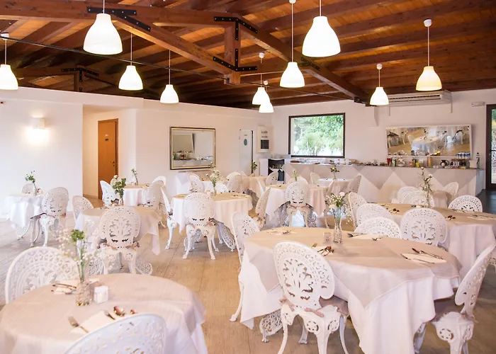 Hotel Aria di Mare