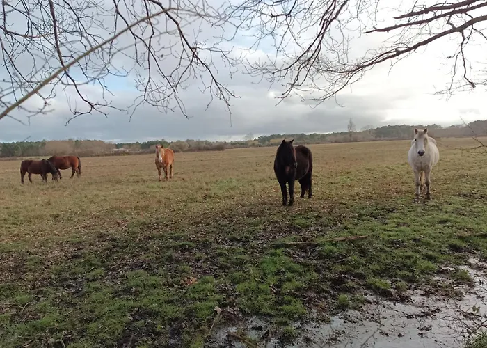 eco nature, gite à la ferme