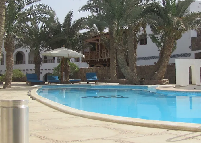 Dahab Divers