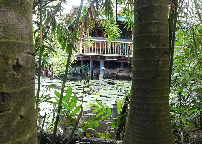 Rainforest Eco Lodge