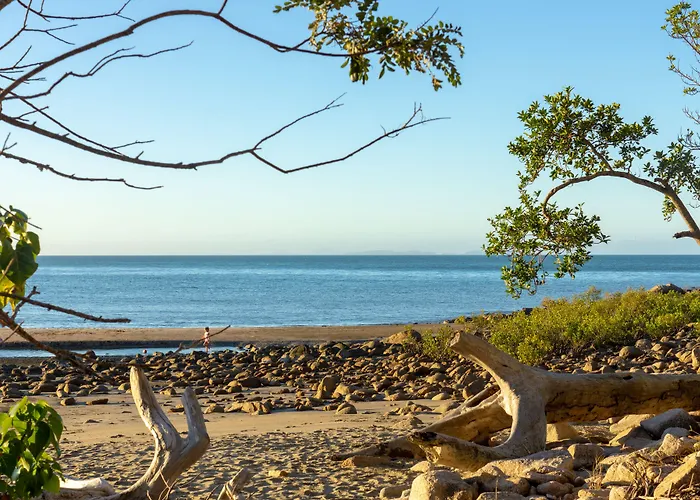 Halliday Bay Resort